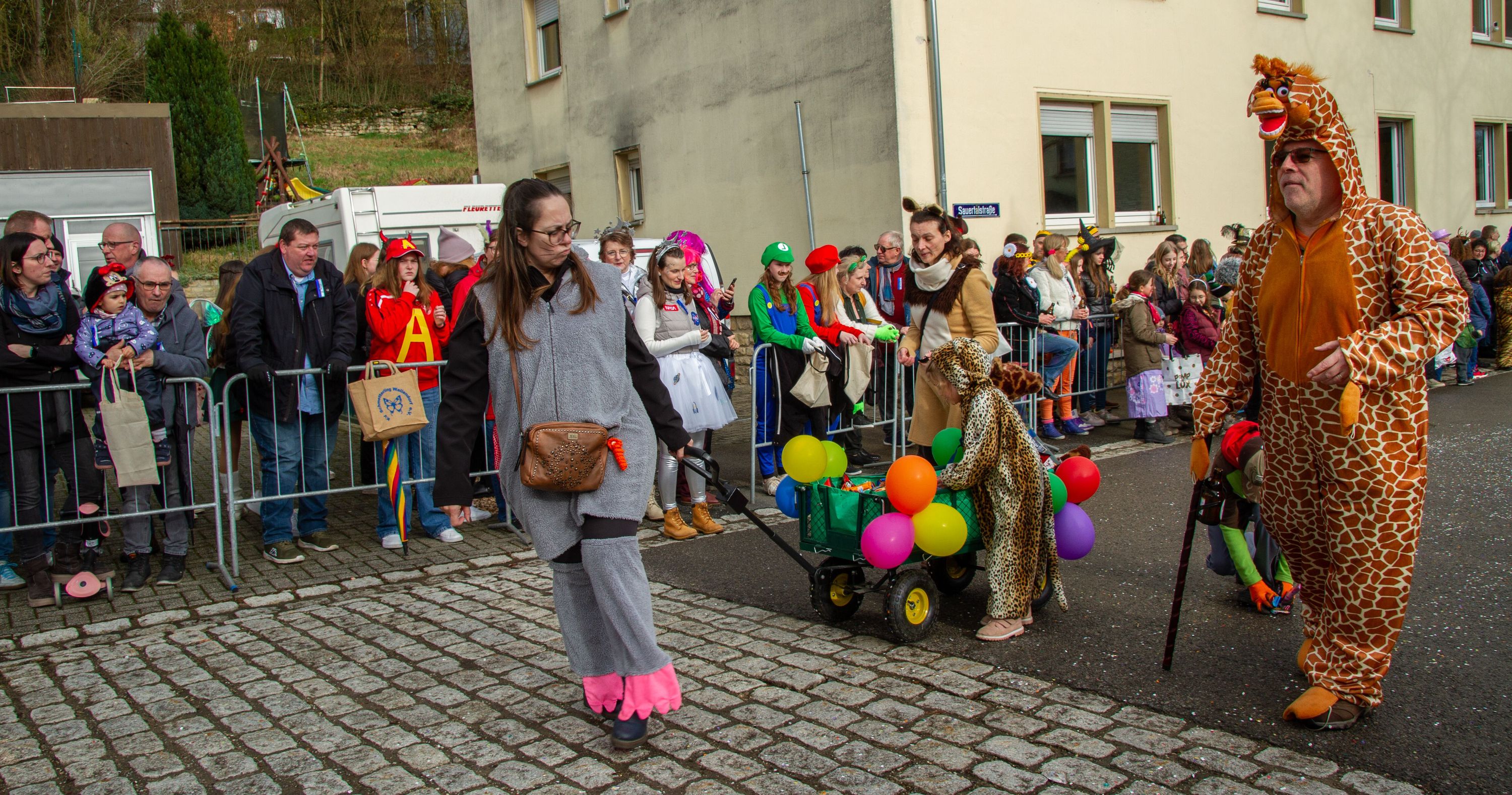 Rosenmontag Wallendorf2024 0075