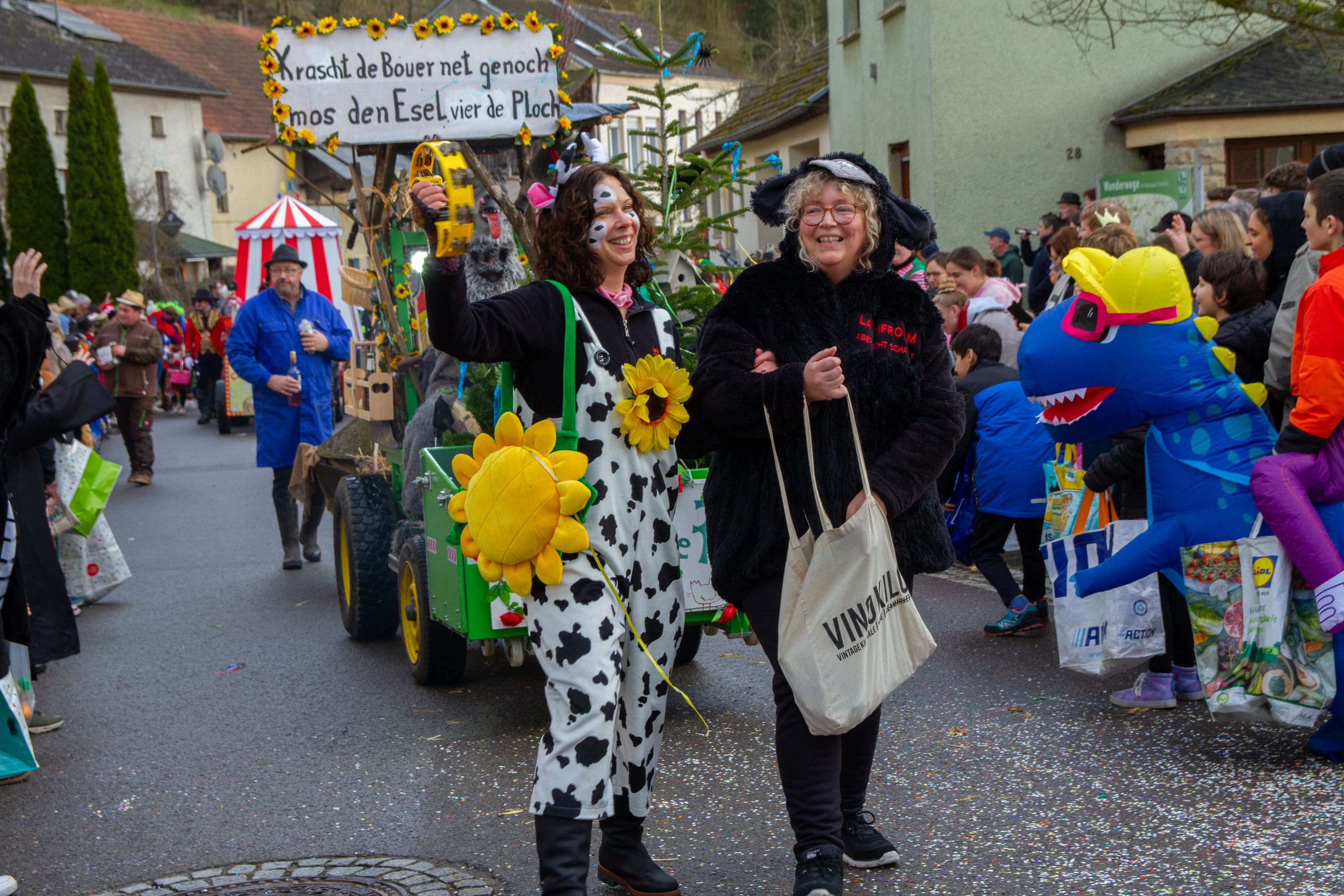 Rosenmontag Wallendorf2024 0142