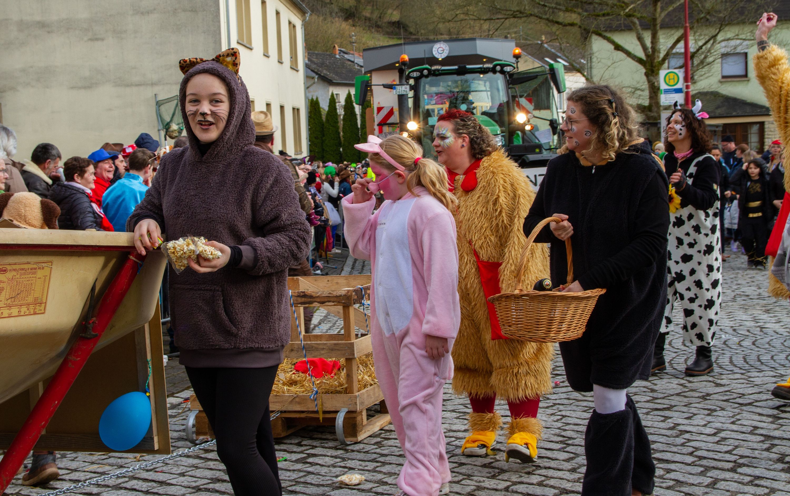 Rosenmontag Wallendorf2024 0228