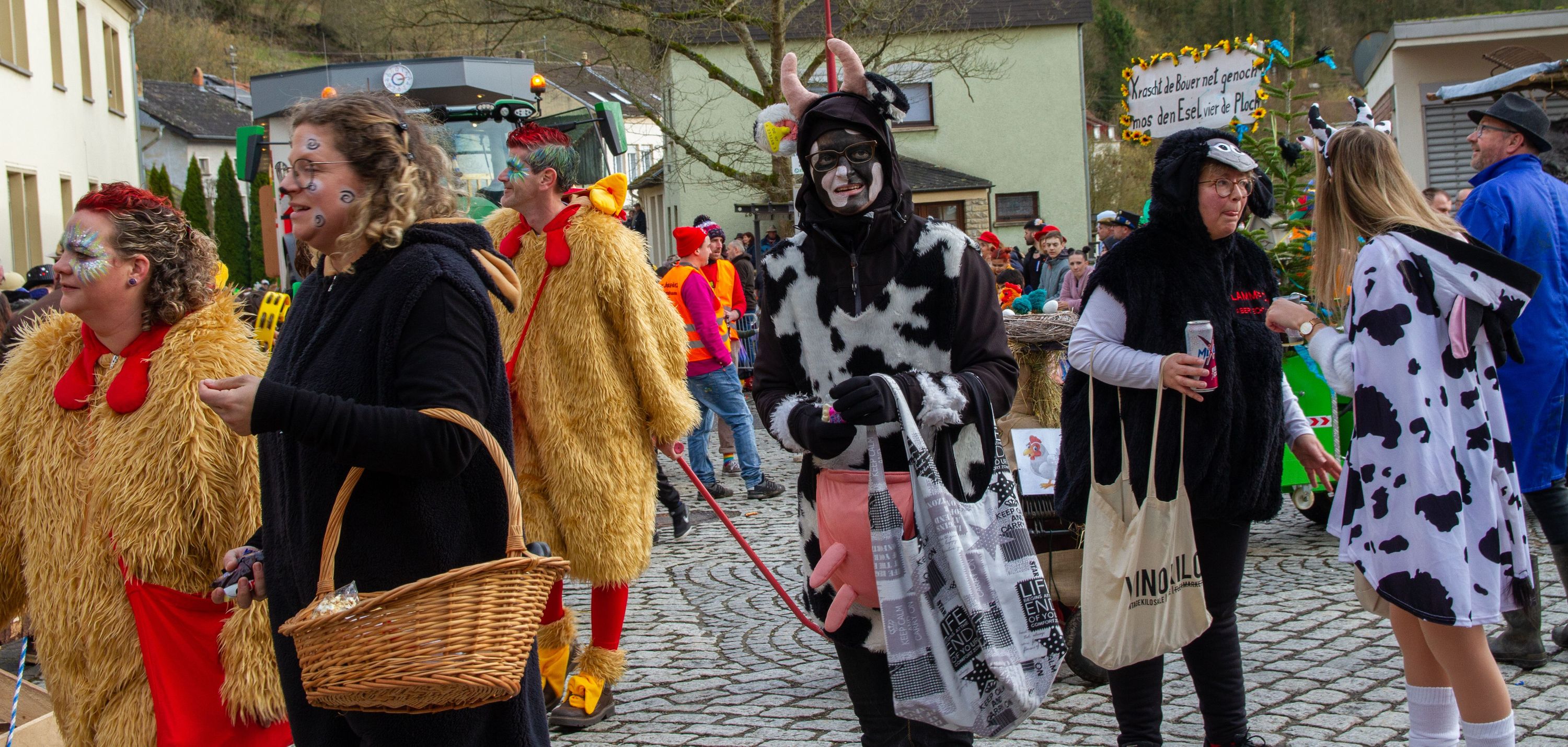 Rosenmontag Wallendorf2024 0230
