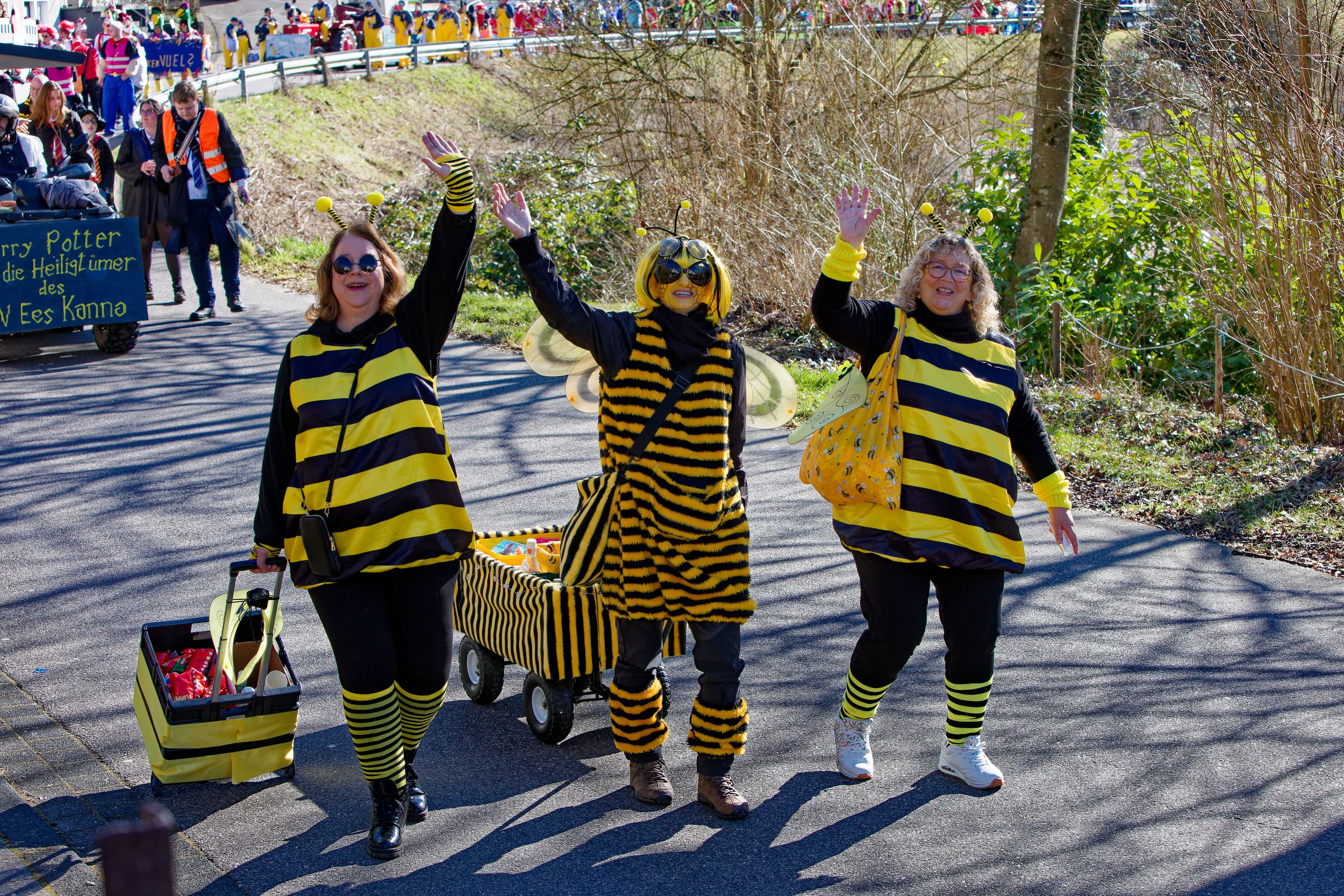 Rosenmontagsumzugr Wallendorf 2025 067