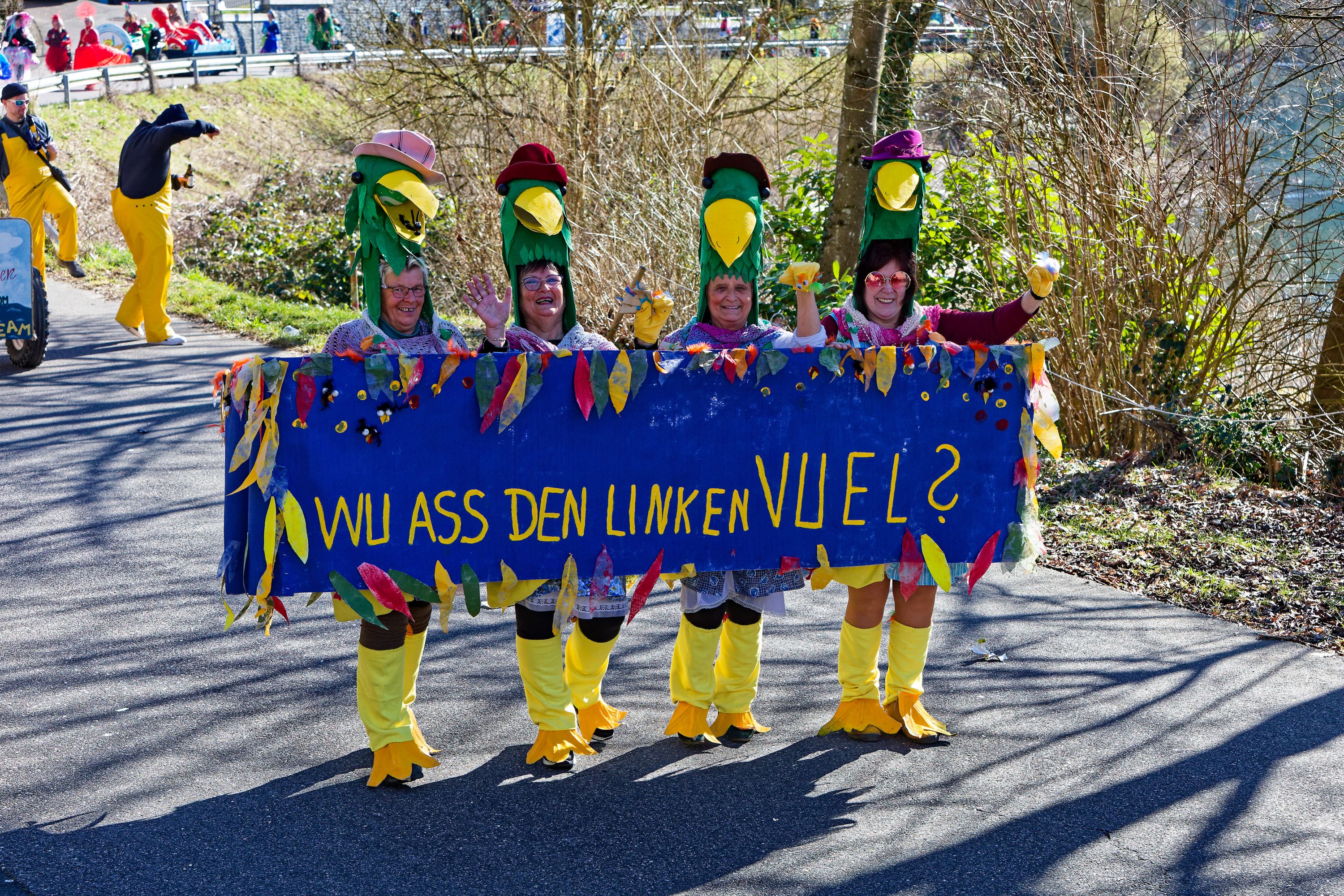 Rosenmontagsumzugr Wallendorf 2025 093