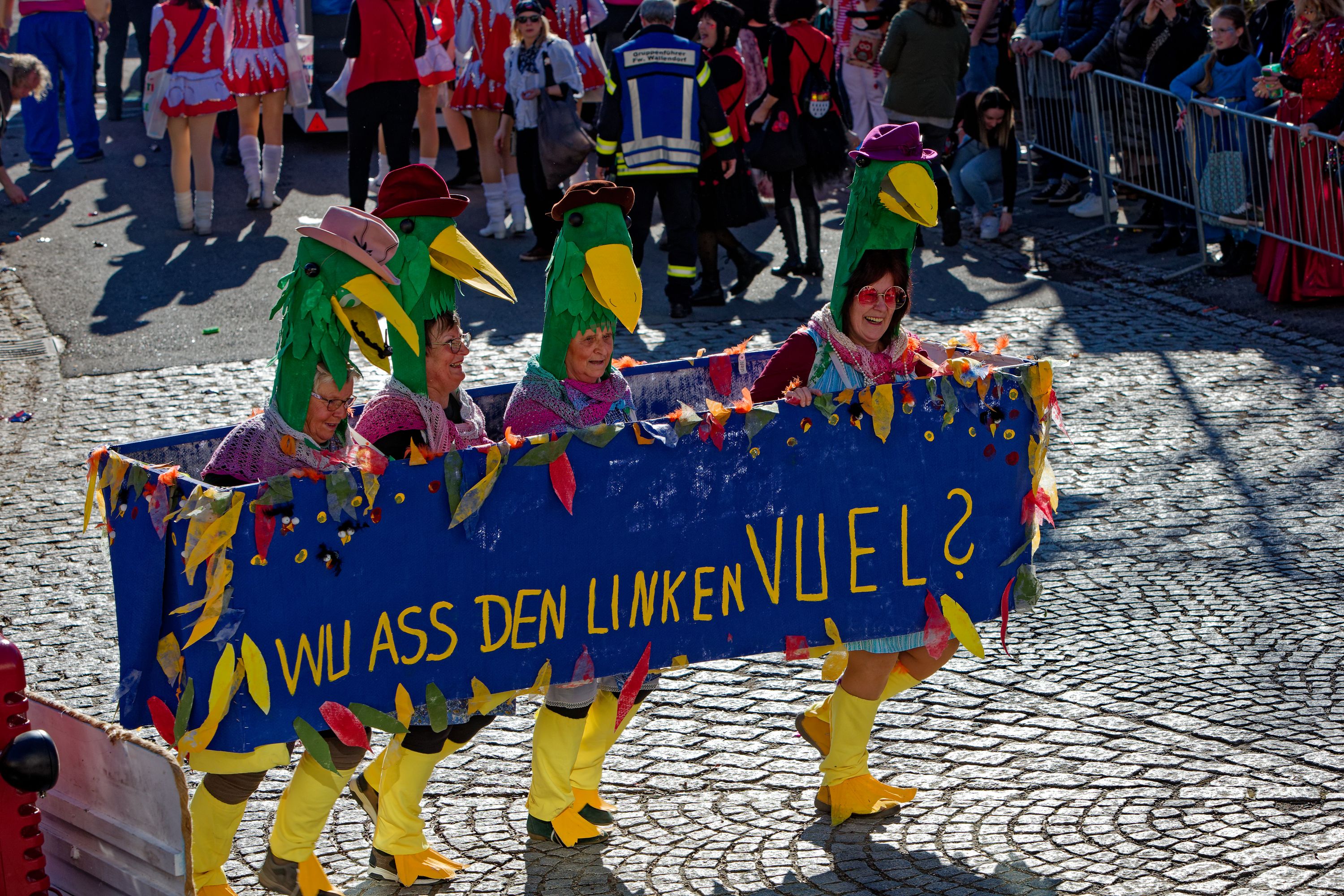 Rosenmontagsumzugr Wallendorf 2025 153