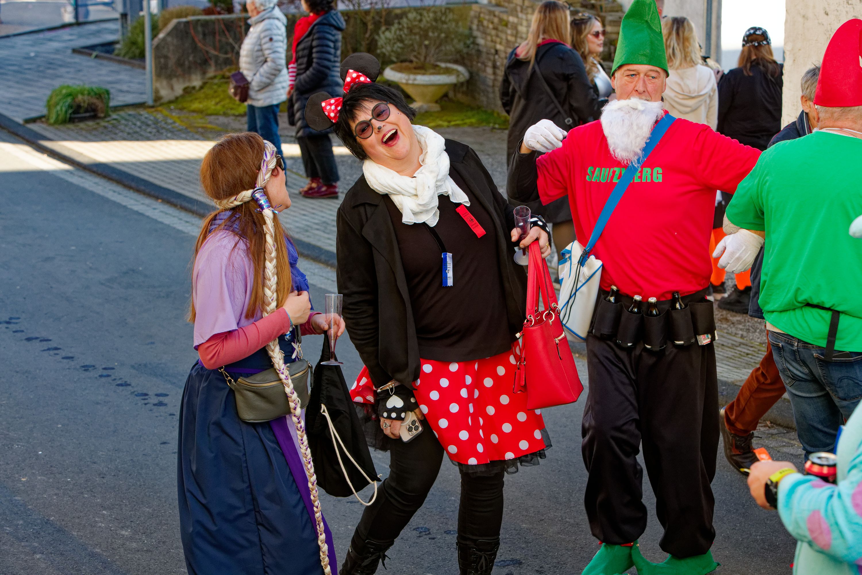 Rosenmontagsumzugr Wallendorf 2025 363