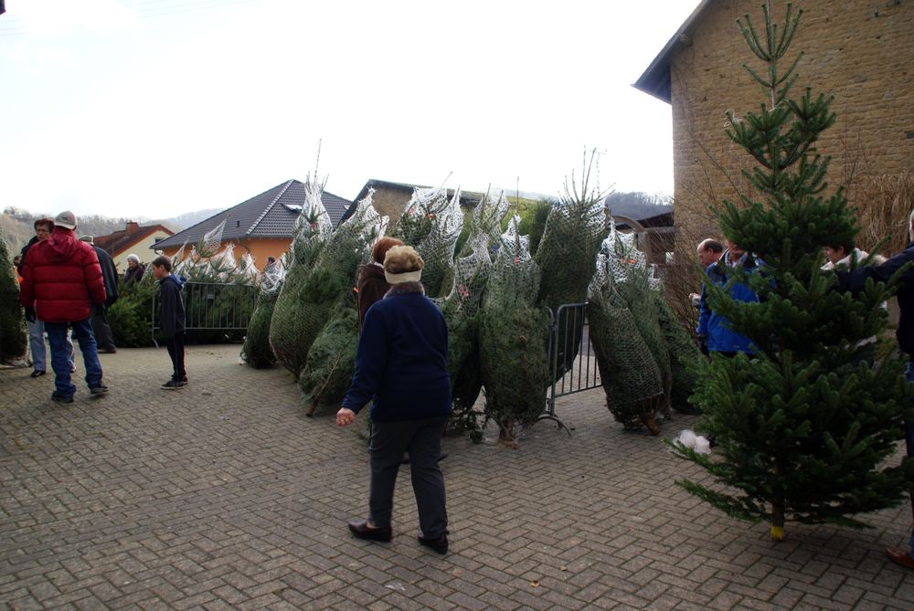 Weihnachtsbaum26