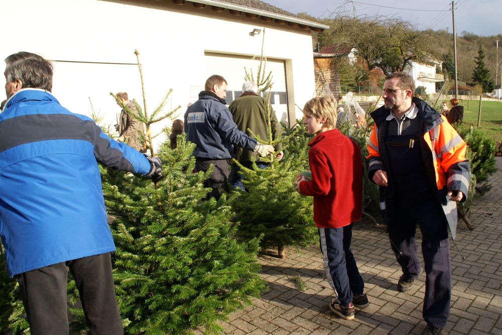 Weihnachtsbaum34