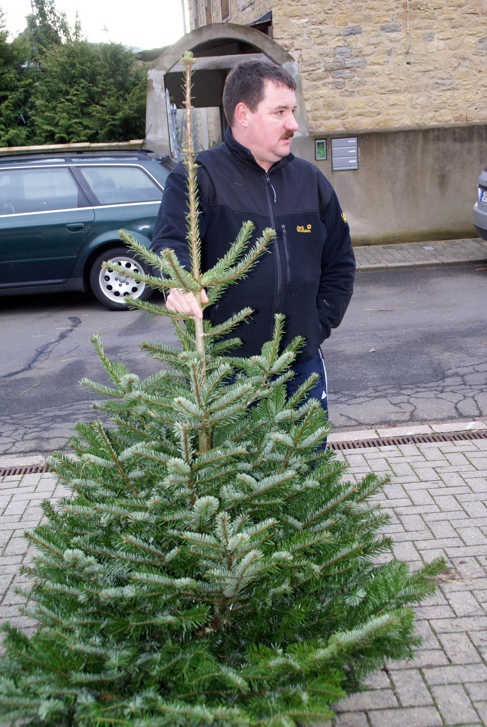 Weihnachtsbaum60
