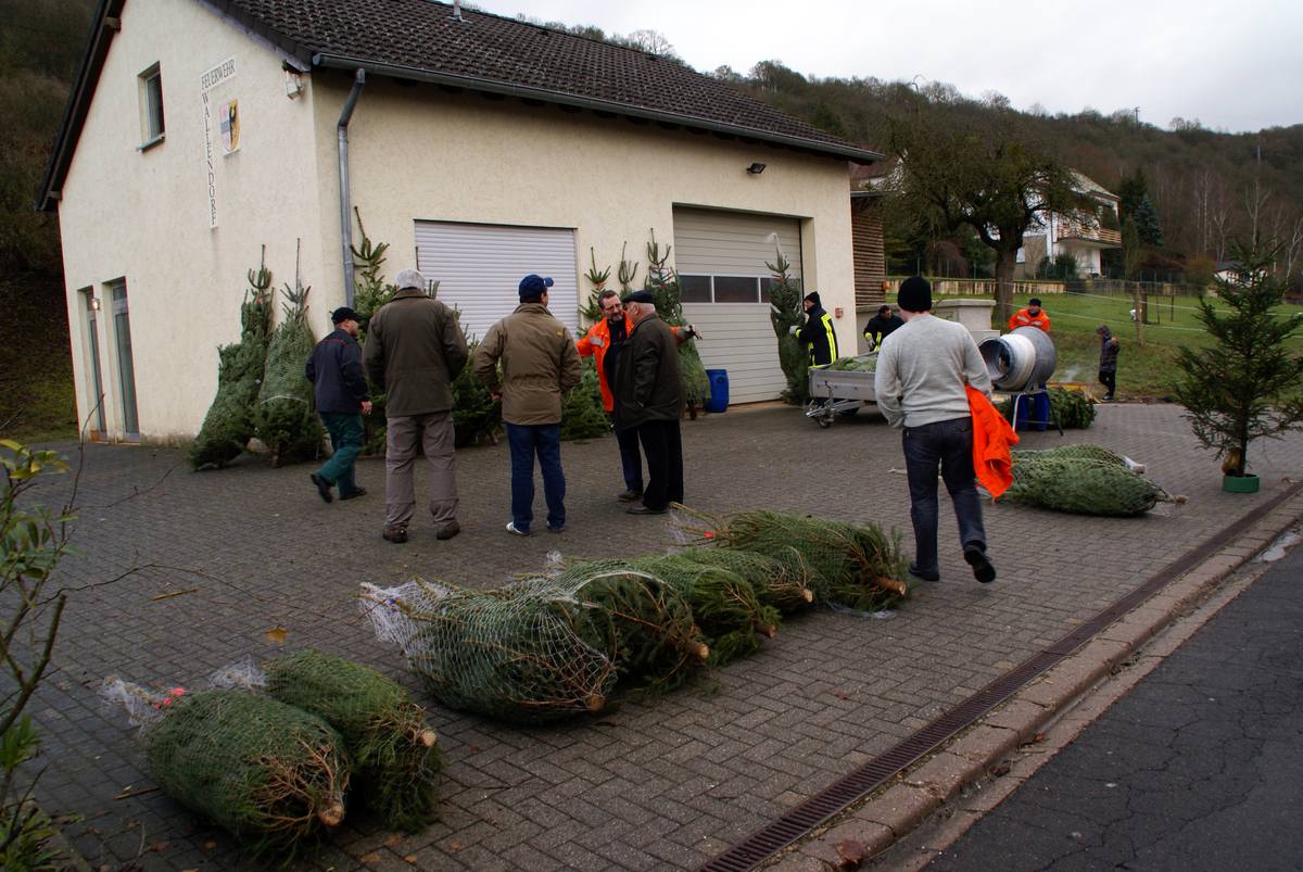 Weihnachtsbaumverkauf 2010