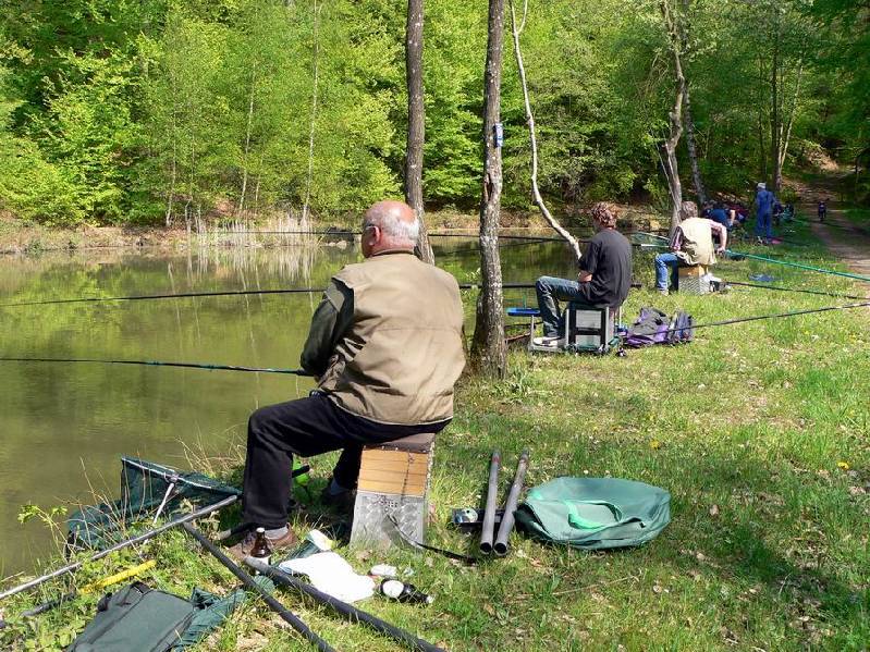 Angeln Mit Dem Graureiher