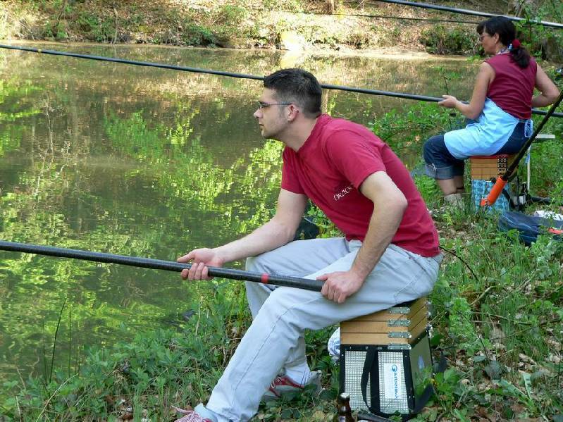 Graureiher Bild Nr.011