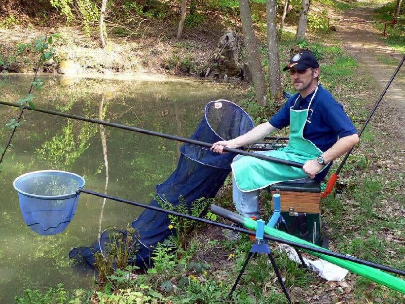 Graureiher Bild Nr.019