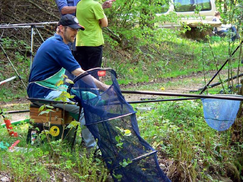 Graureiher Bild Nr.021