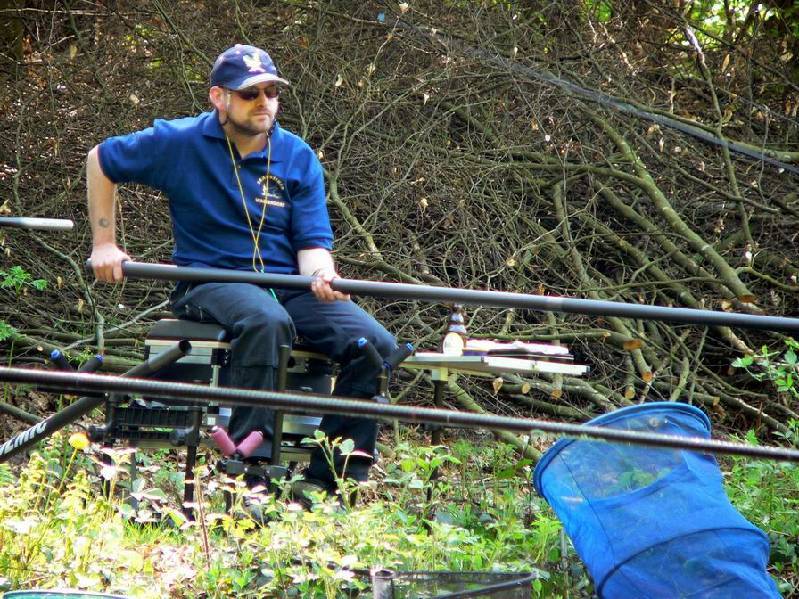 Graureiher Bild Nr.022