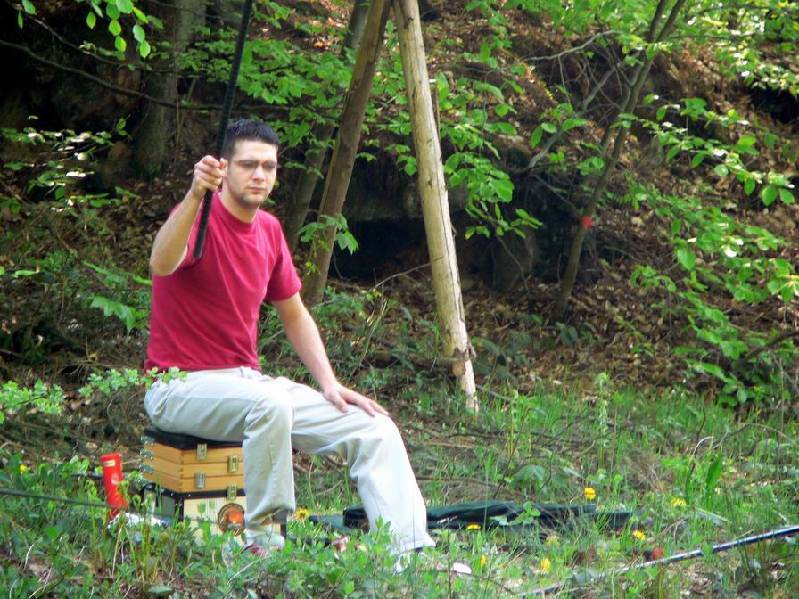 Graureiher Bild Nr.025