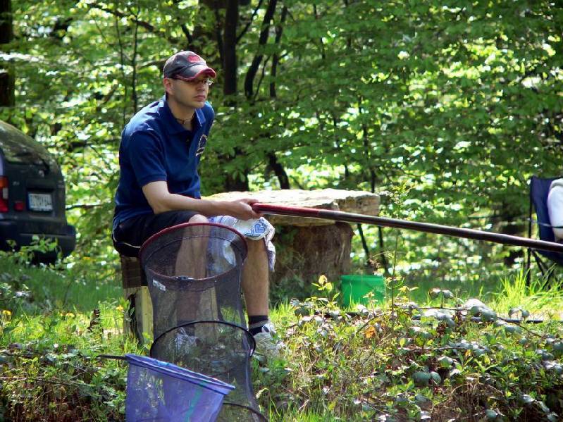 Graureiher Bild Nr.028