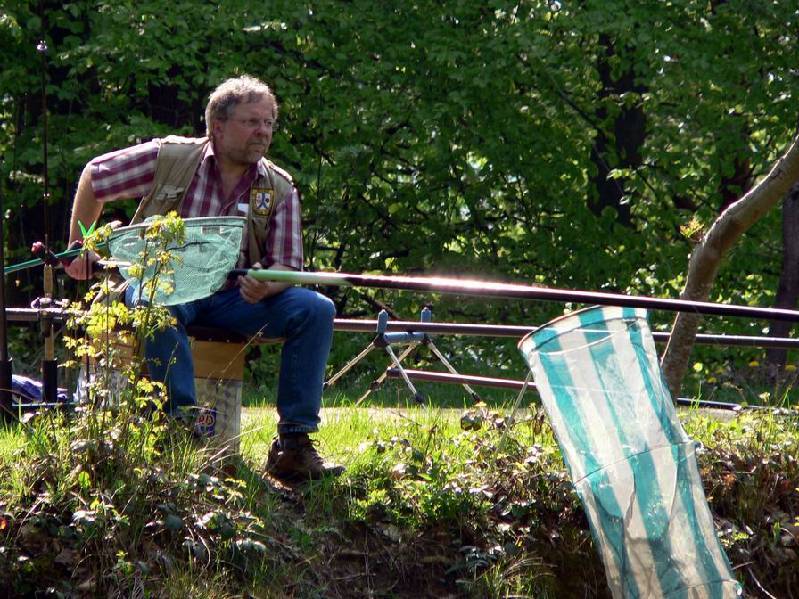 Graureiher Bild Nr.029