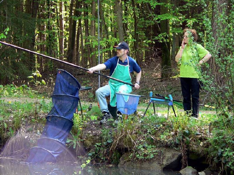 Graureiher Bild Nr.030