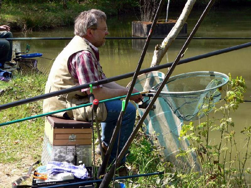 Graureiher Bild Nr.045