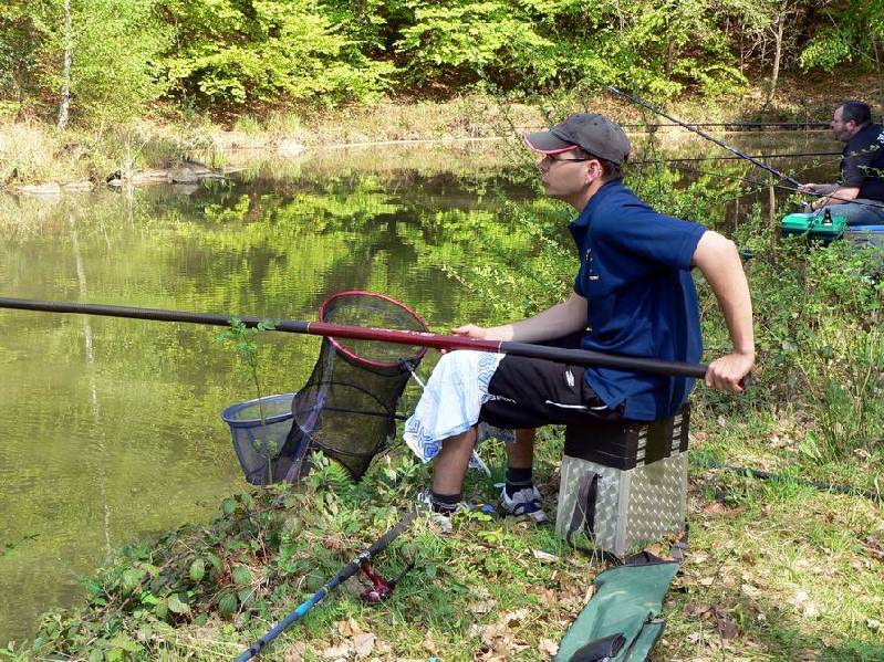 Graureiher Bild Nr.047