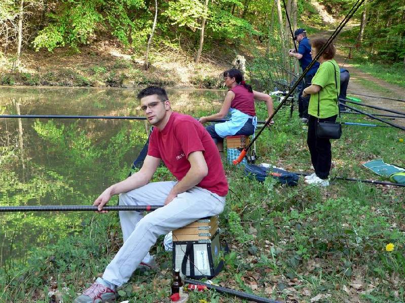 Graureiher Bild Nr.049