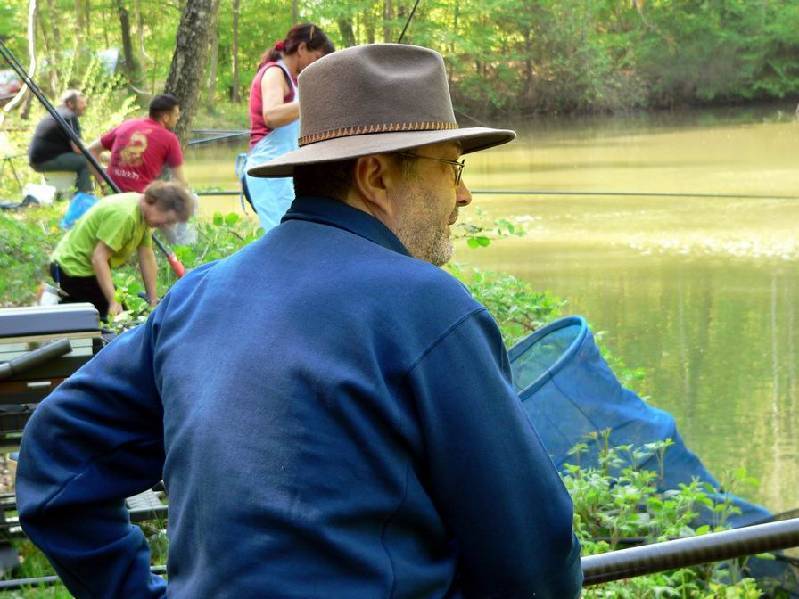 Graureiher Bild Nr.052