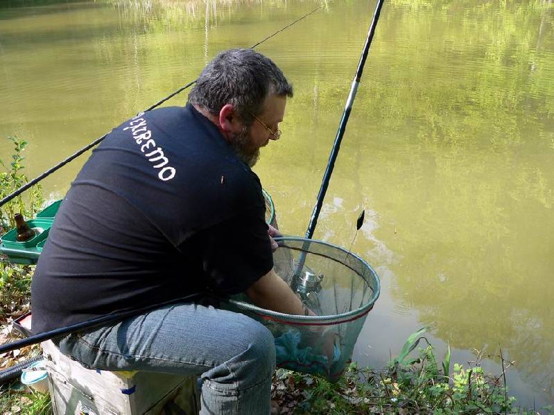 Graureiher Bild Nr.057