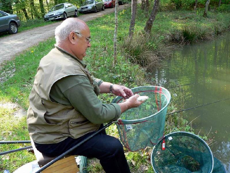 Graureiher Bild Nr.060