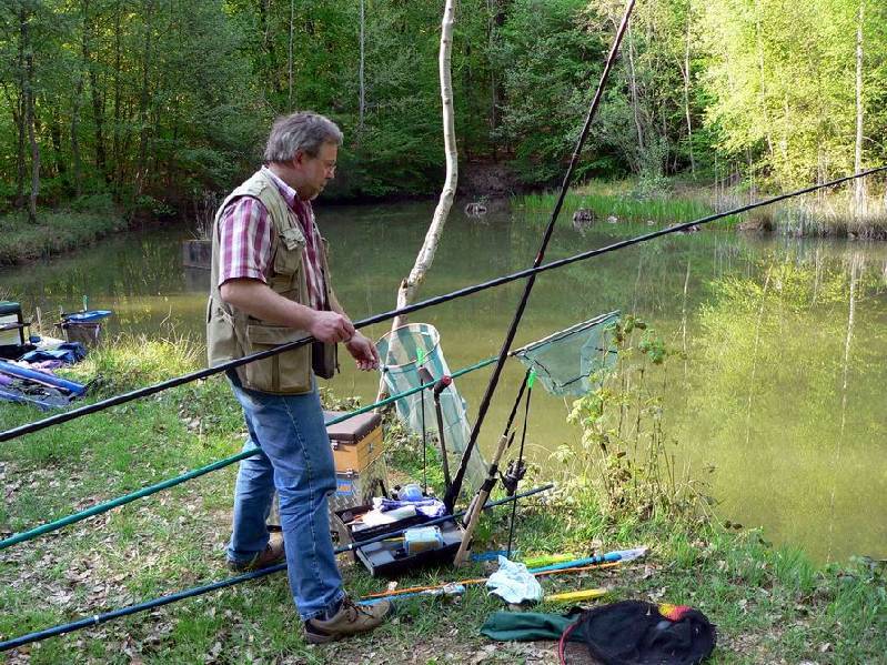 Graureiher Bild Nr.069