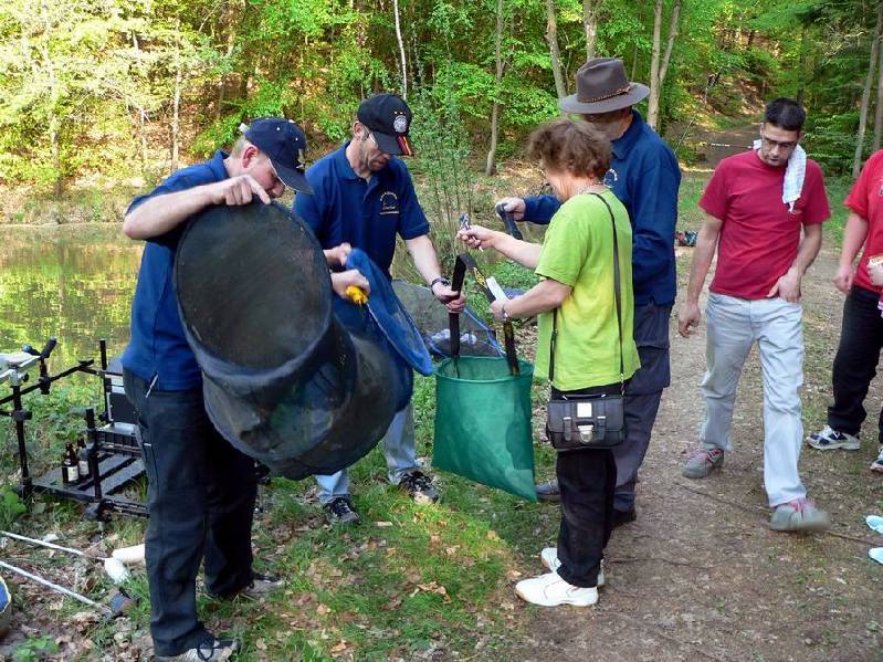 Graureiher Bild Nr.081