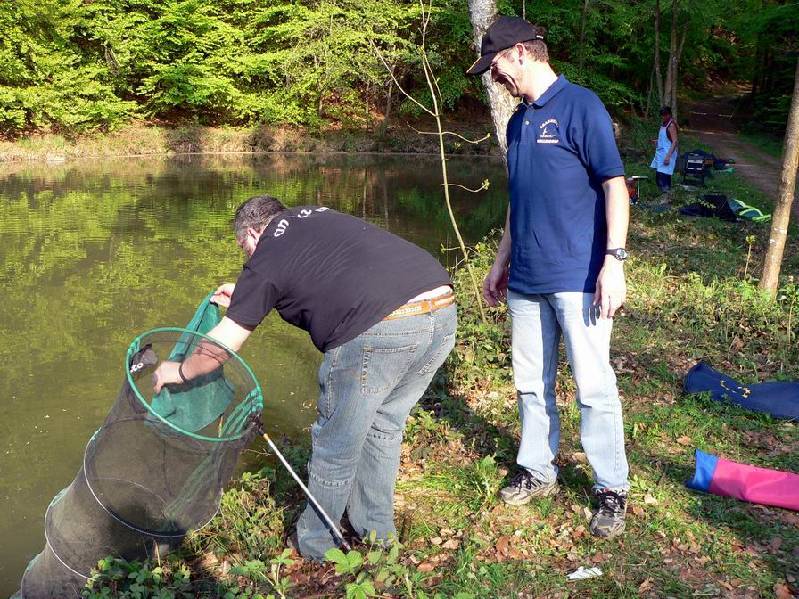 Graureiher Bild Nr.089