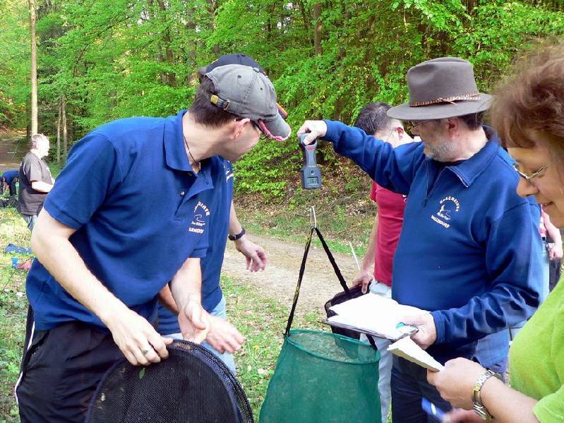 Graureiher Bild Nr.091