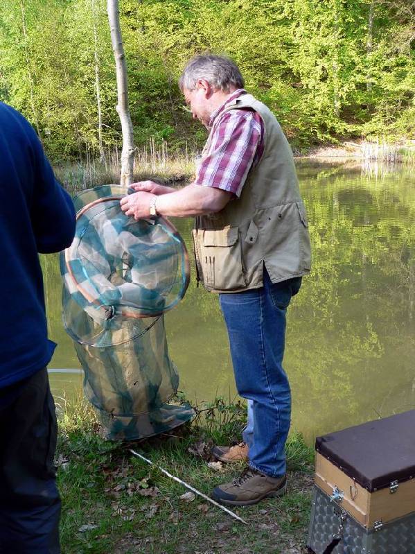 Graureiher Bild Nr.094