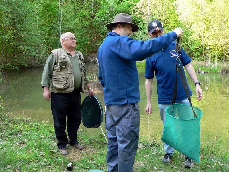 Graureiher Bild Nr.101