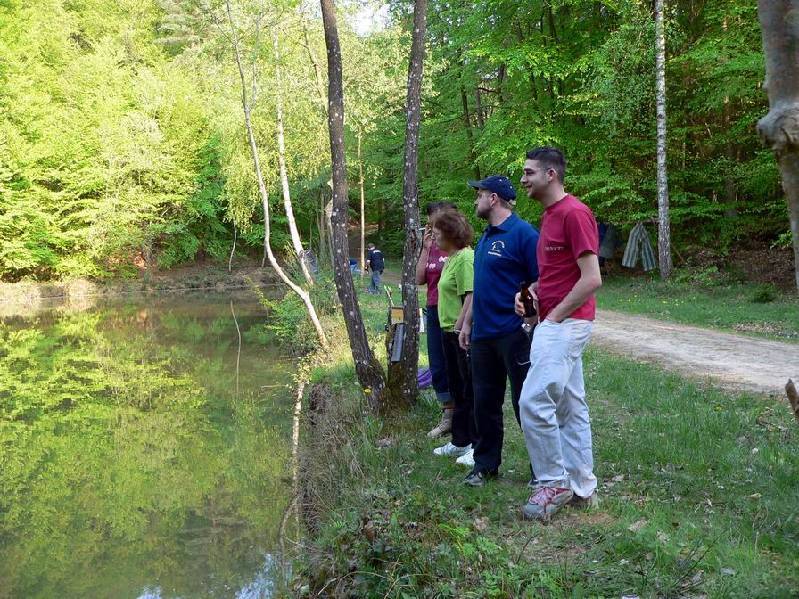 Graureiher Bild Nr.106