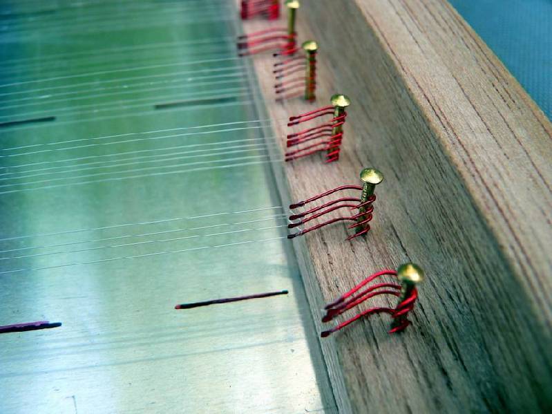 Graureiher Bild Nr.107