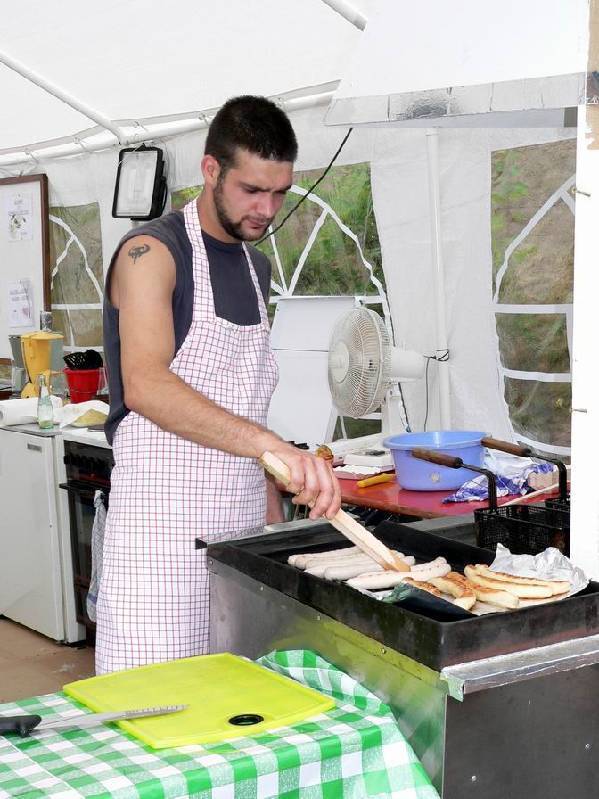 Graureiher Bild Nr.120