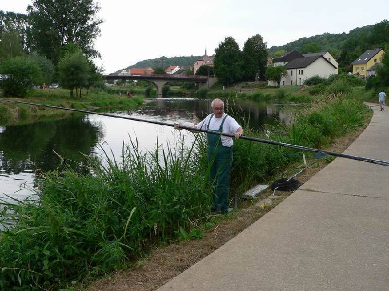 Graureiher Bild Nr.129