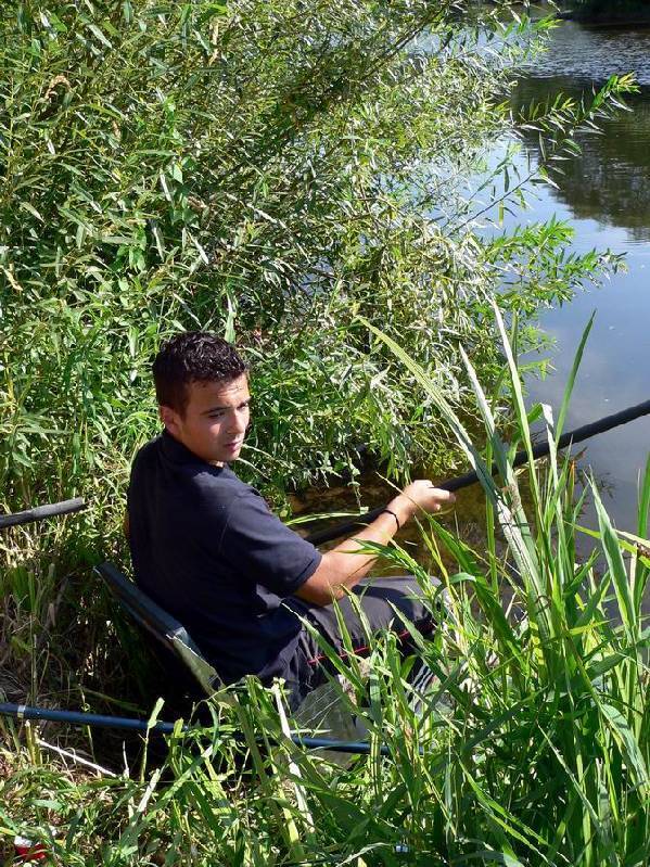 Graureiher Bild Nr.139