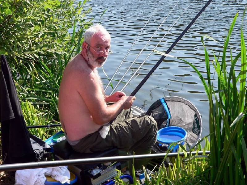 Graureiher Bild Nr.146