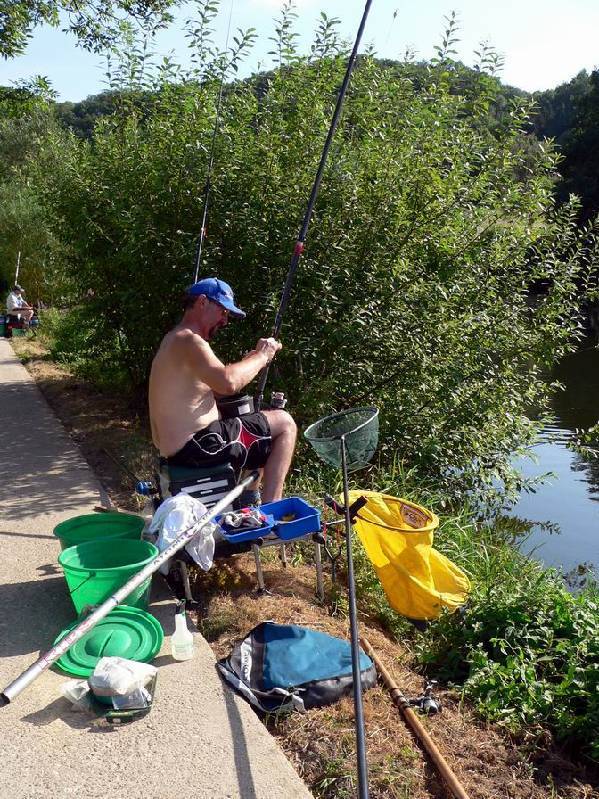 Graureiher Bild Nr.147