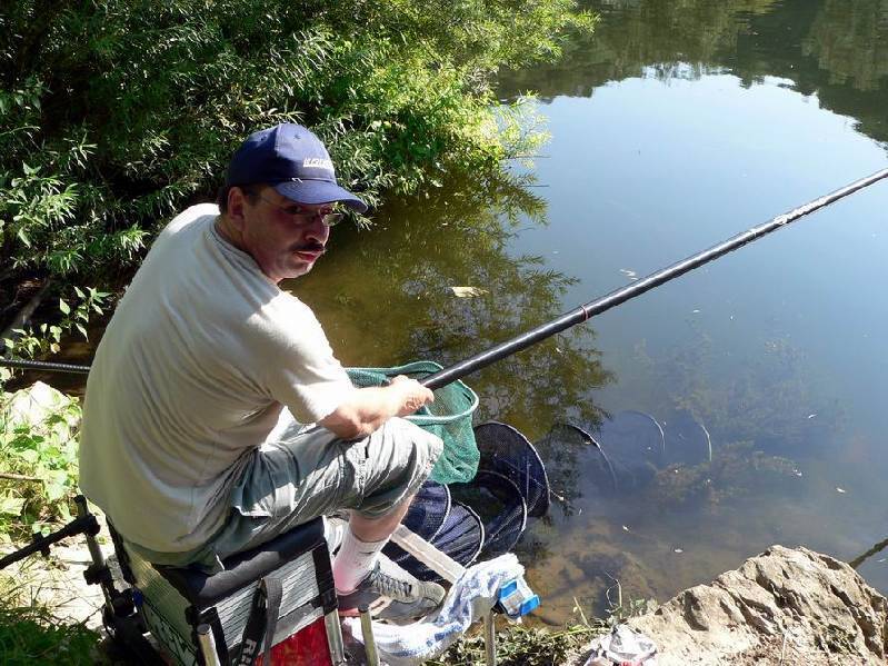 Graureiher Bild Nr.150