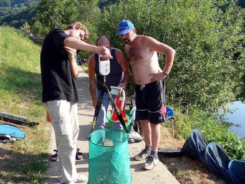 Graureiher Bild Nr.155