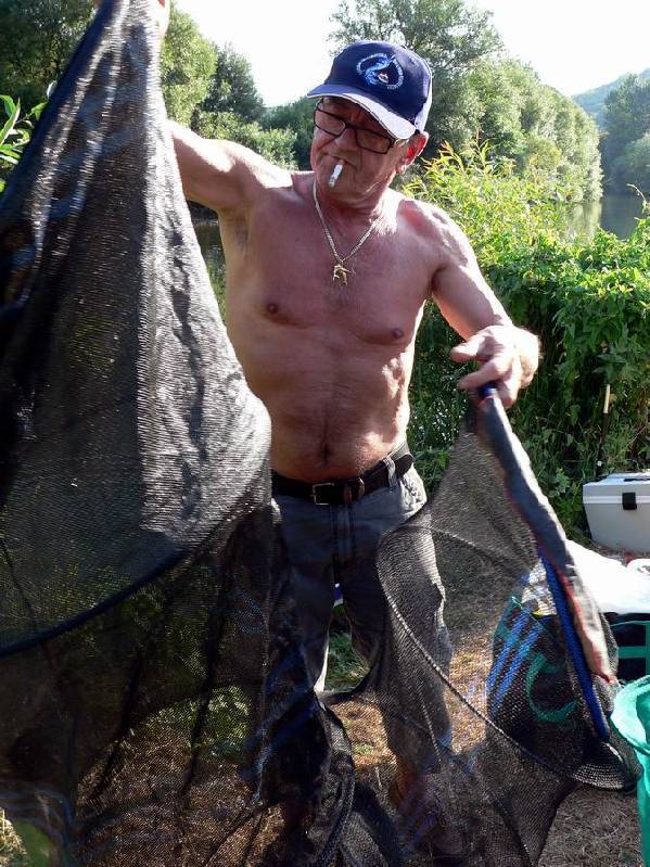 Graureiher Bild Nr.165