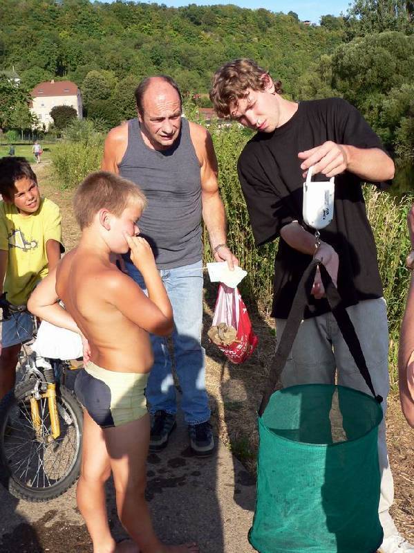 Graureiher Bild Nr.167