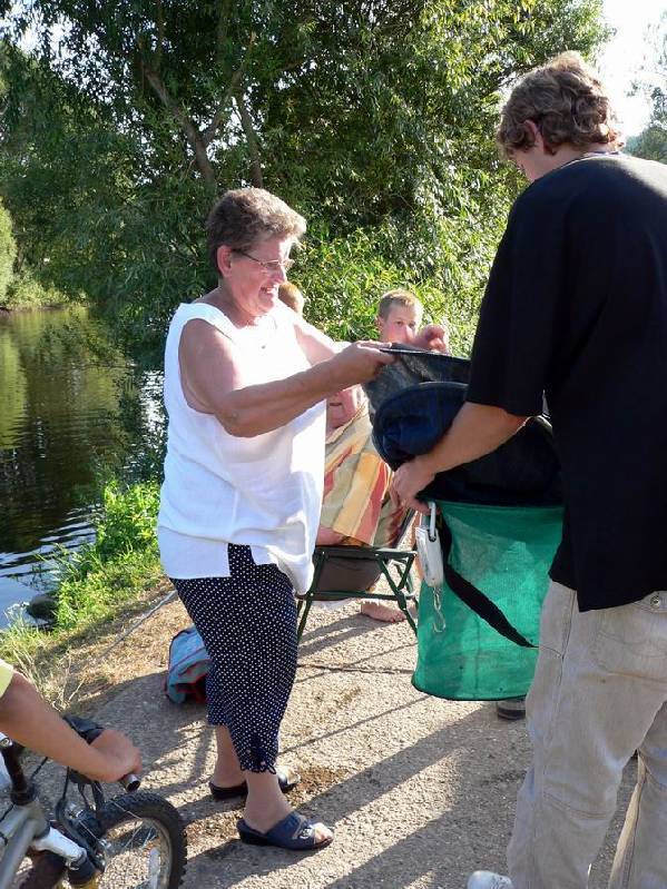 Graureiher Bild Nr.168