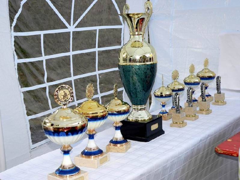 Graureiher Bild Nr.169